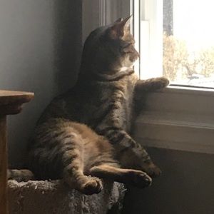 Meet your Posher, Steve